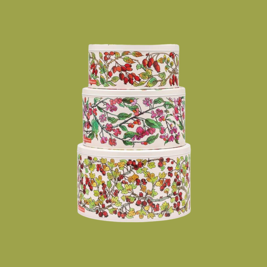 Emma Bridgewater - Bird in Hedgerow set of 3 cake tins