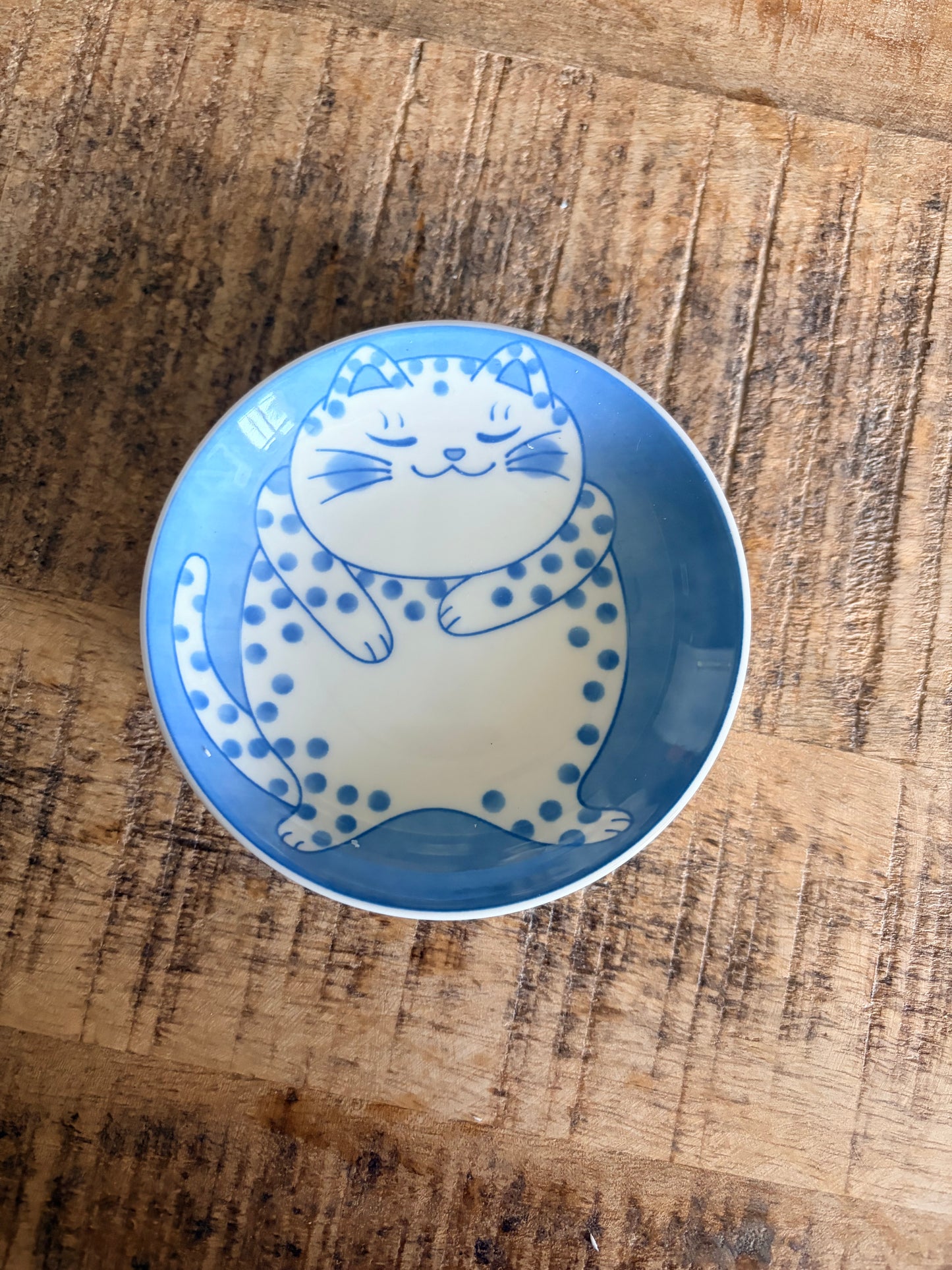 Cat trinket dish/ jewellery tray
