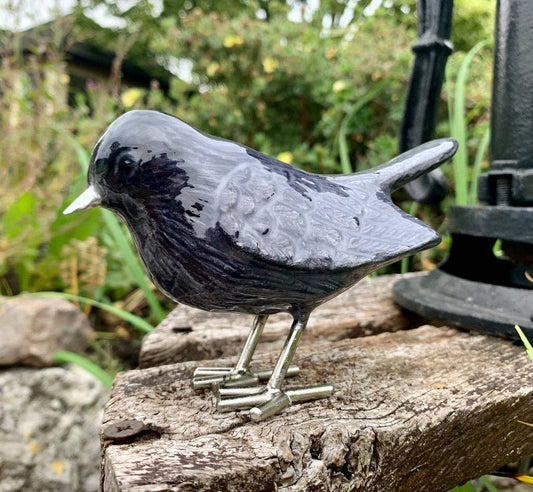 Brushed Black Robin 12.5 cm