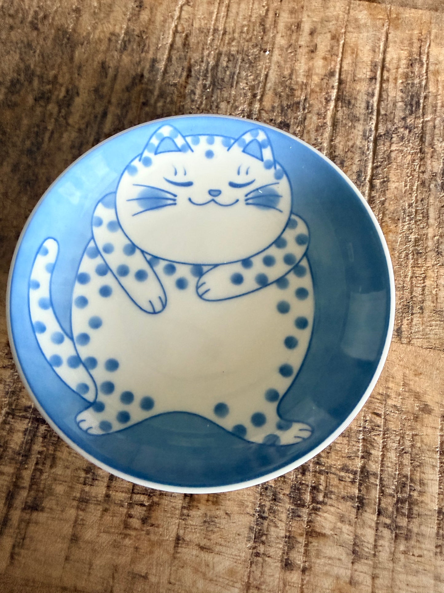 Cat trinket dish/ jewellery tray