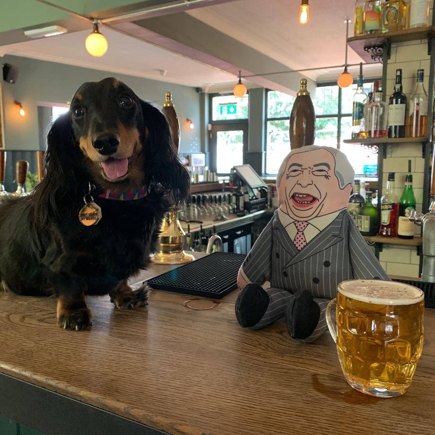 Nigel Farage Squeaky Dog Toy