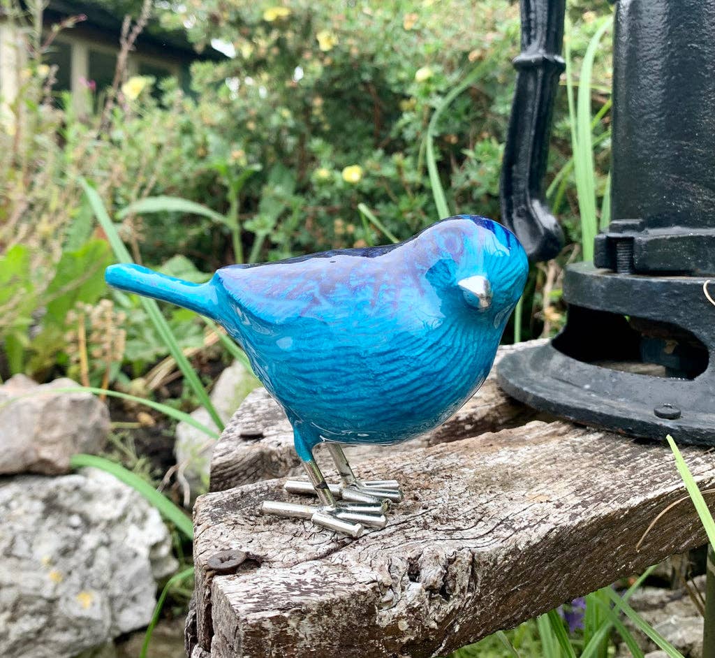 Brushed Aqua Bird 12.5 cm